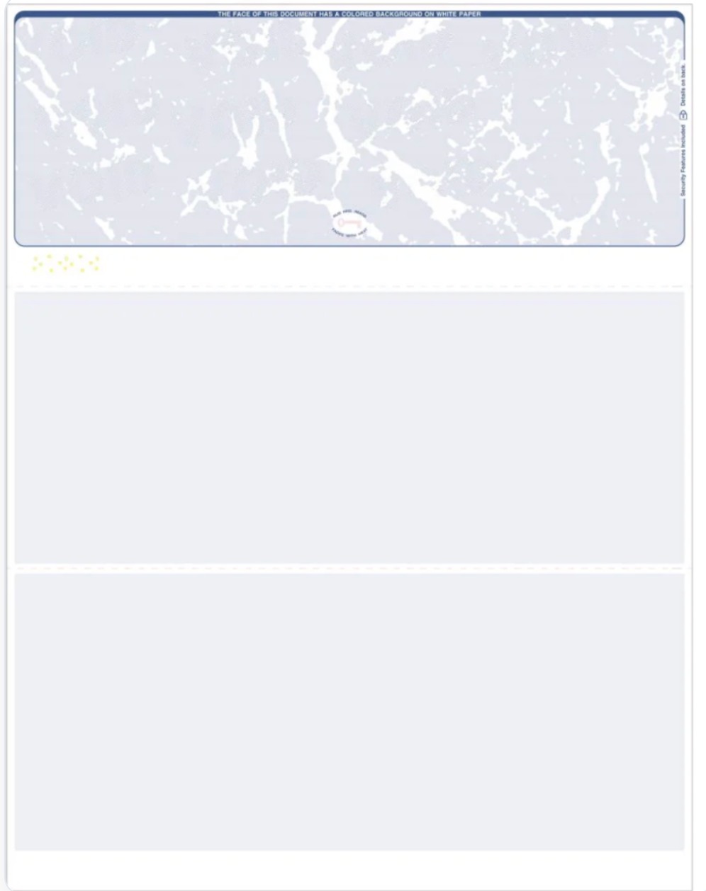 CheckPrintPro check paper format